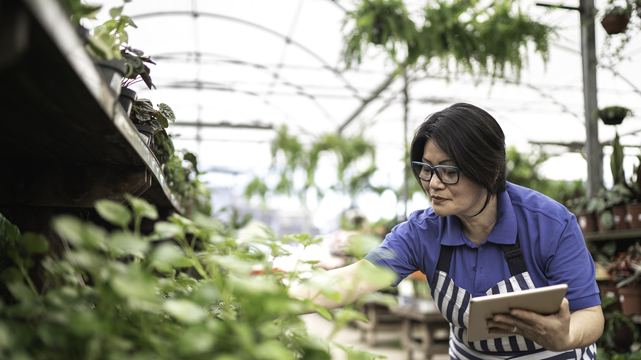 Woman checking her plants